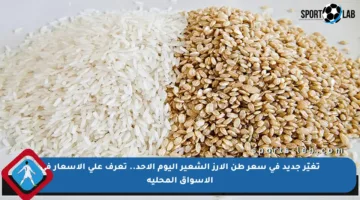 تغيّر جديد في سعر طن الأرز الشعير اليوم الأحد.. تعرف على الأسعار في الأسواق المحلية
